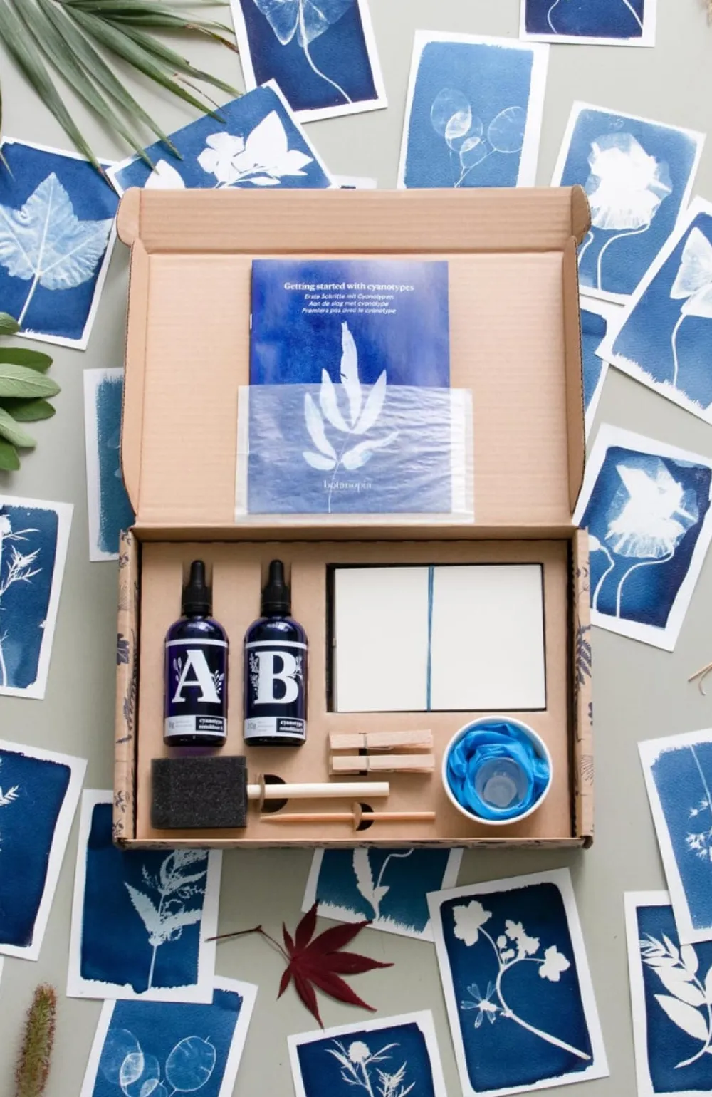 Les Raffineurs Kit de création de cyanotypes
