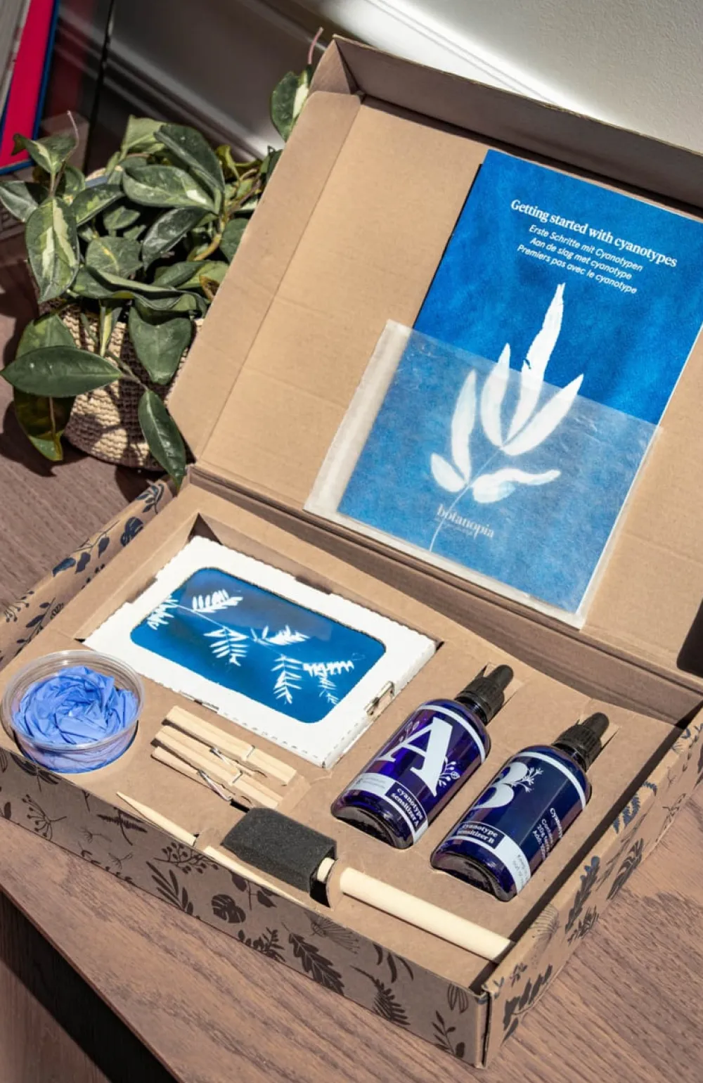 Les Raffineurs Kit de création de cyanotypes