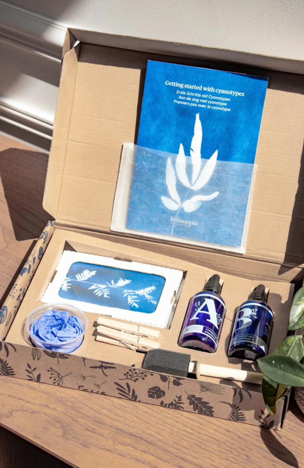 Les Raffineurs Kit de création de cyanotypes