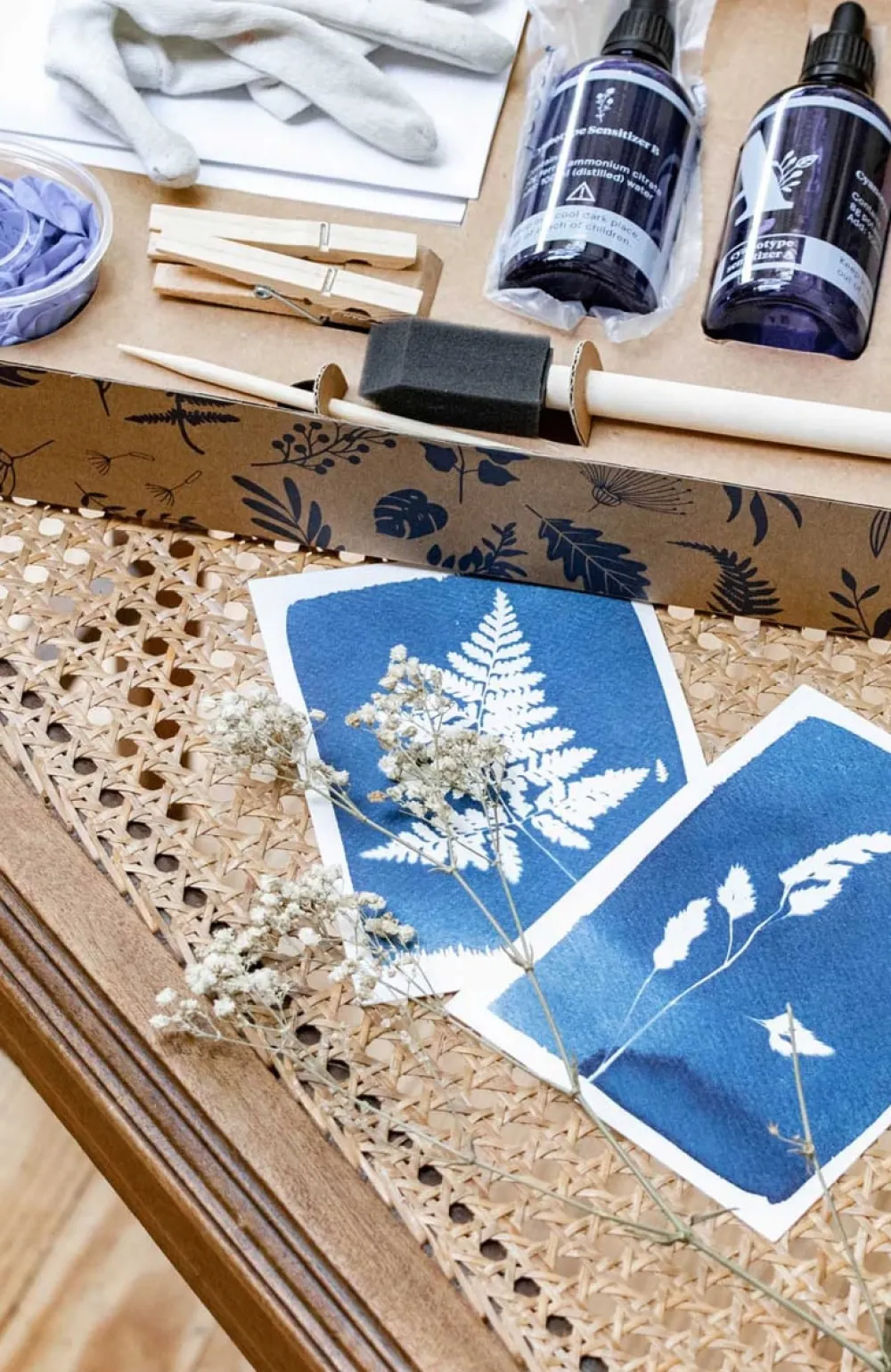 Les Raffineurs Kit de création de cyanotypes
