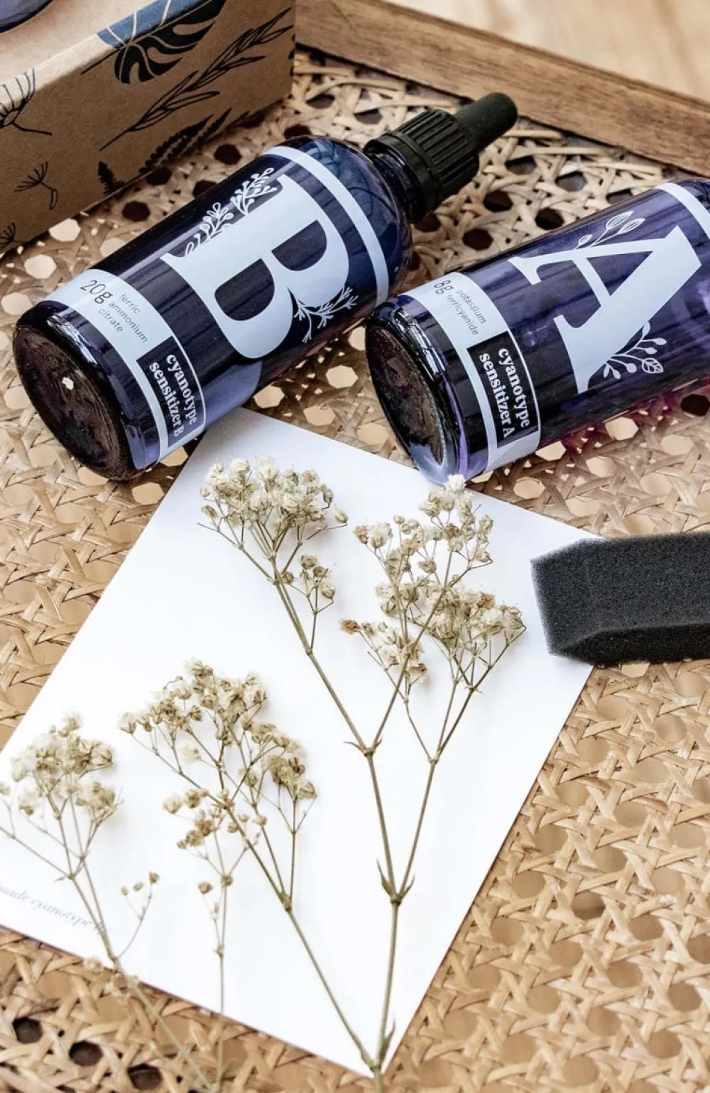 Les Raffineurs Kit de création de cyanotypes