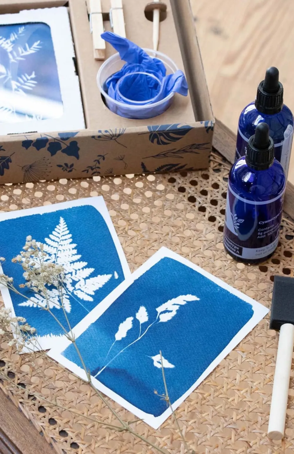 Les Raffineurs Kit de création de cyanotypes