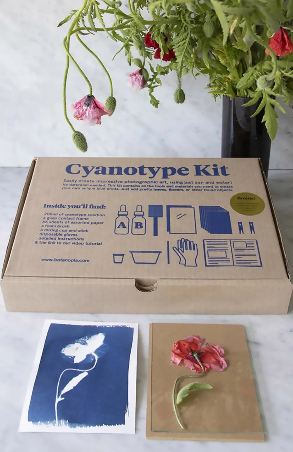 Les Raffineurs Kit de création de cyanotypes